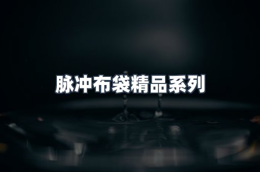 脉冲布袋精品系列