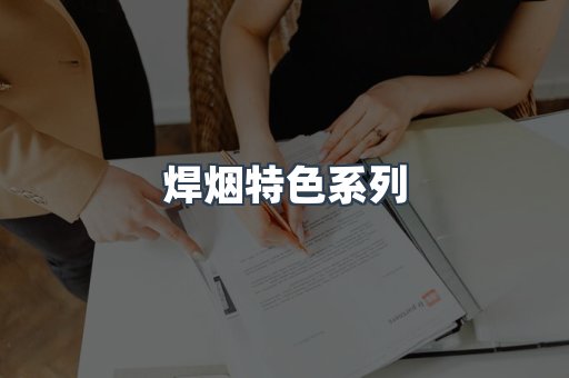 焊烟特色系列