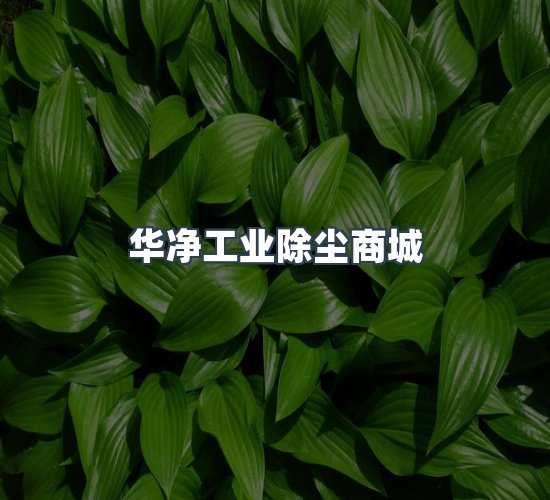 关于华净工业除尘商城
